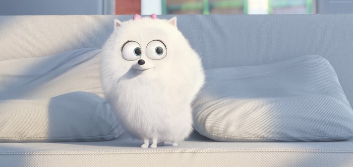Gidget from The Secret Life of Pets on a sofa