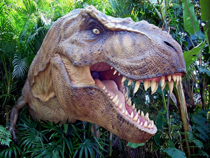 Tyrannosaurus Rex Dinosaur in Jungle