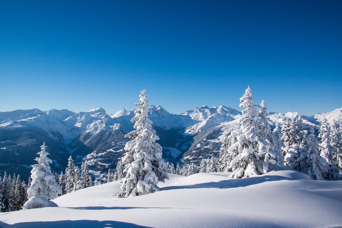 4K Winter Mountains Snow Trees Scenery