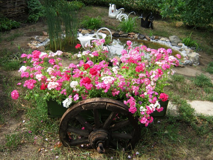 Garden cart with pink and white phlox flowers
