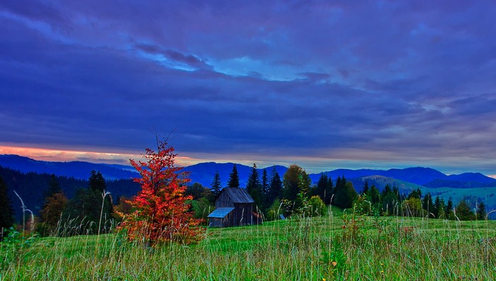 Mountain landscape with a wooden cabin and autumn tree