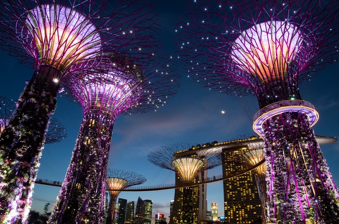 Gardens by the Bay Supertrees at night, Singapore