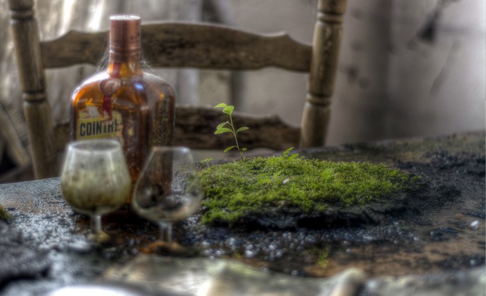 Cointreau bottle and stemware on a mossy table