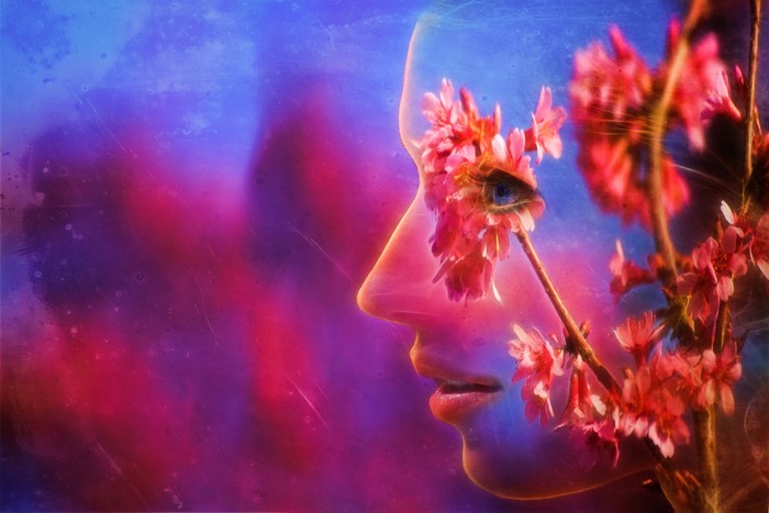 Double exposure of a woman's face and cherry blossoms