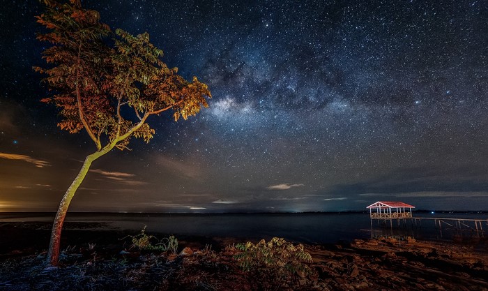 Milky Way over a tree and a stilted hut