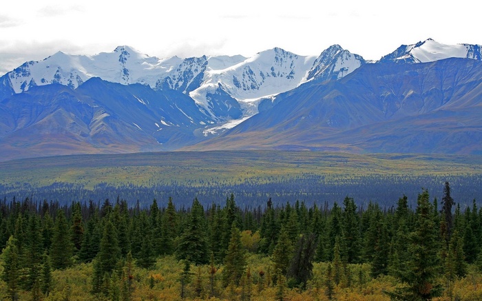 Snow-capped mountains over a forest and tundra