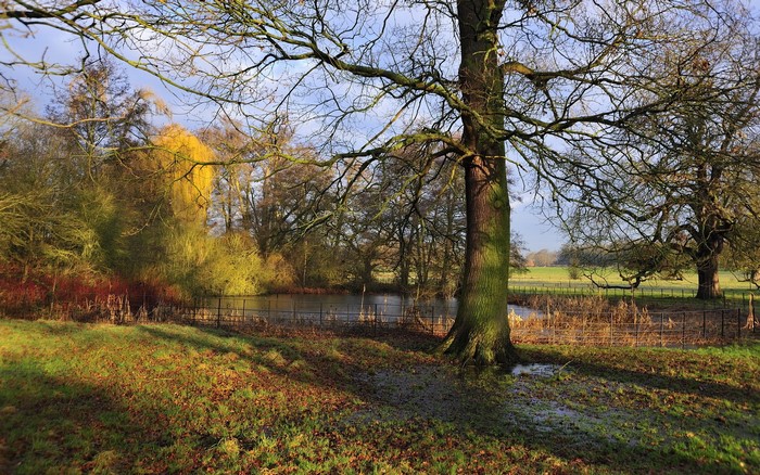 Park with trees and a lake in autumn