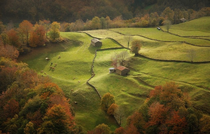 Autumn landscape with rolling green hills and farmhouses