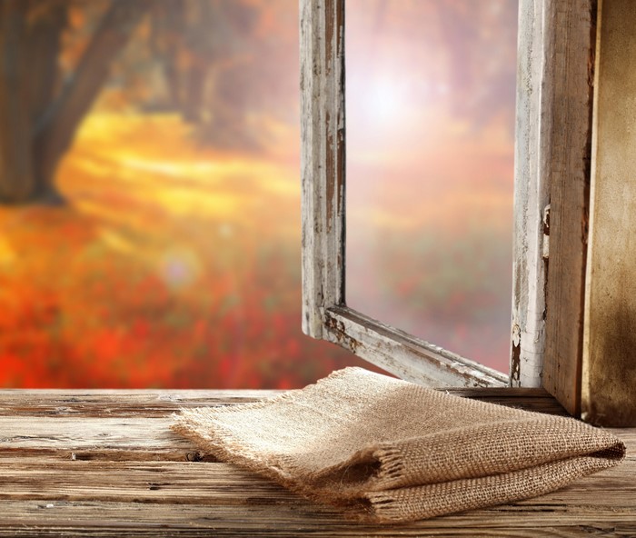 4K Autumn Window View