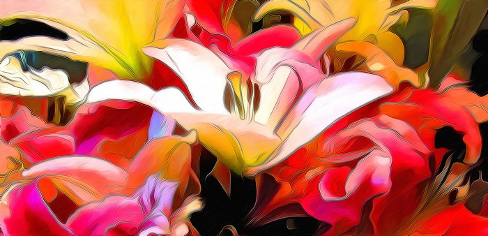 Close-up of colorful lilies with artistic filter