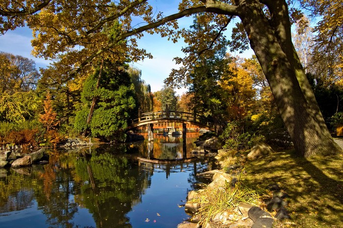 Wooden bridge over a pond in an autumn park