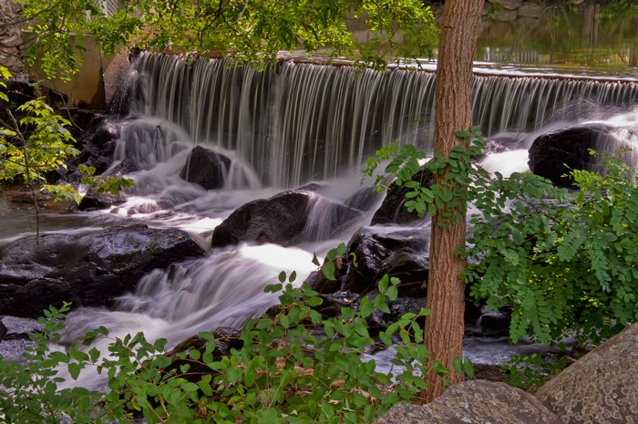 Waterfall with Trees
