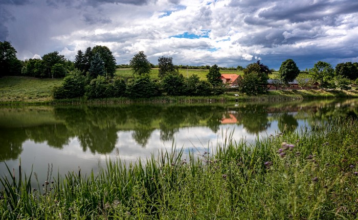 Lake with houses and trees under cloudy sky