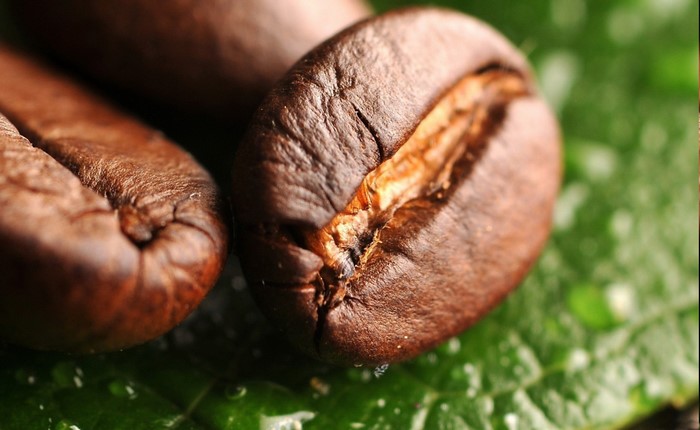 Close-up of Roasted Coffee Beans on a Green Leaf