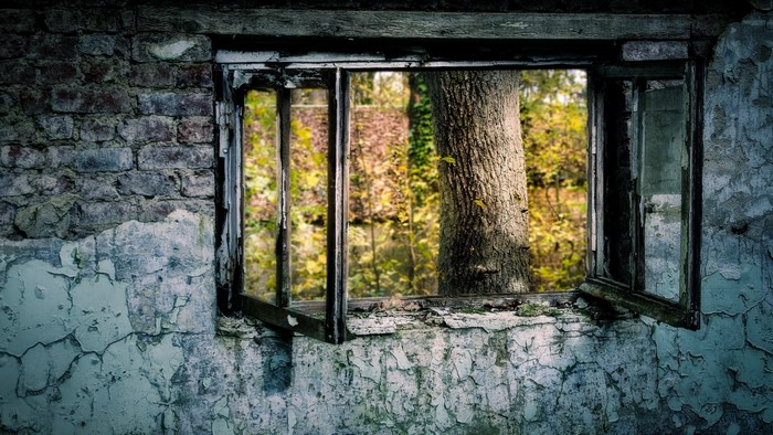 Broken window in an old brick building overlooking a forest