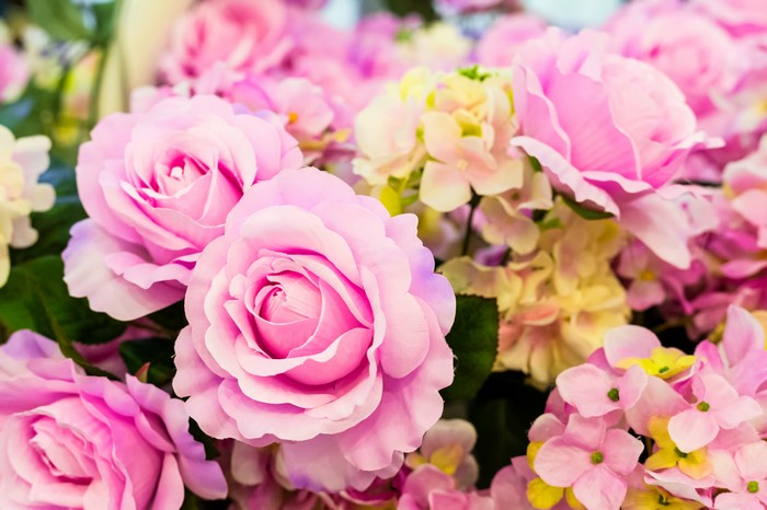 Pink Roses and Hydrangeas
