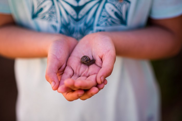 Child holding a snail in cupped hands