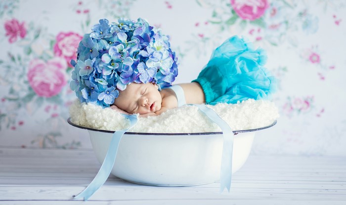 Baby sleeping in a bowl with hydrangea hat