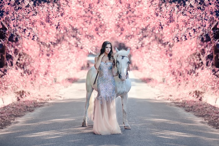 Woman in a sparkly dress with a white horse