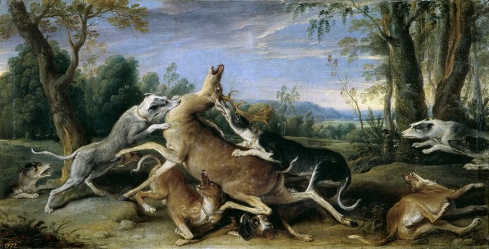 Dogs attacking a deer in a forest
