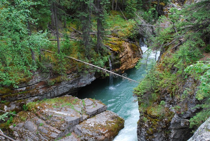 River flowing through a forest gorge with rocky cliffs