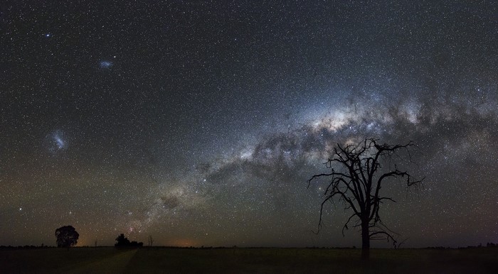 Milky Way over a silhouetted tree and landscape