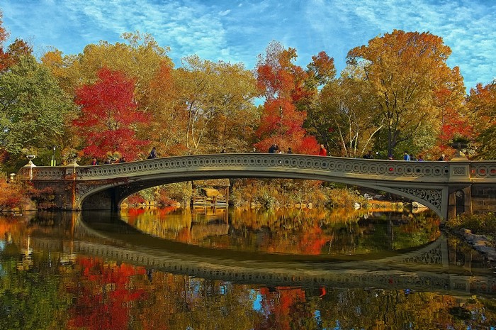 Bow Bridge in Central Park, New York City during Autumn