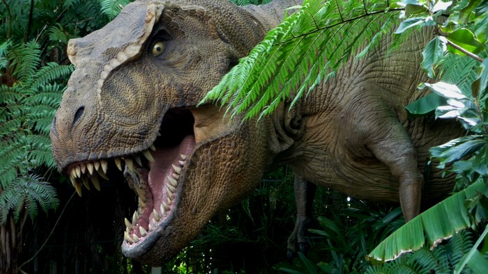 Tyrannosaurus Rex in a jungle