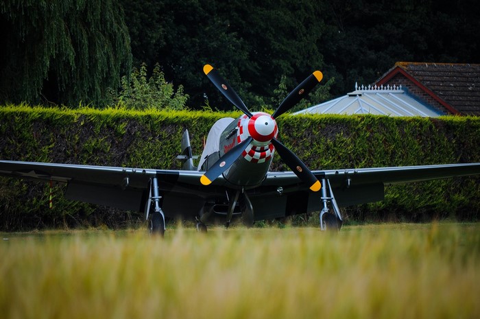 P-51D Mustang fighter airplane on grass