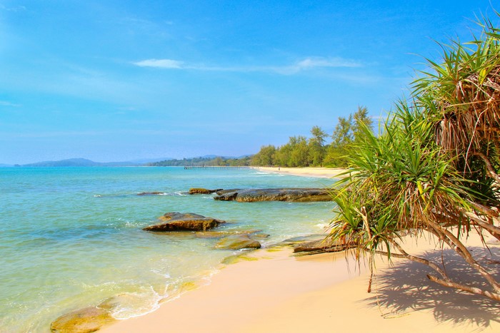 Tropical beach with palm trees and ocean