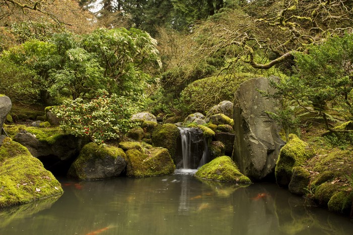 Portland Japanese Gardens Oregon USA Waterfalls Stones Shrubs