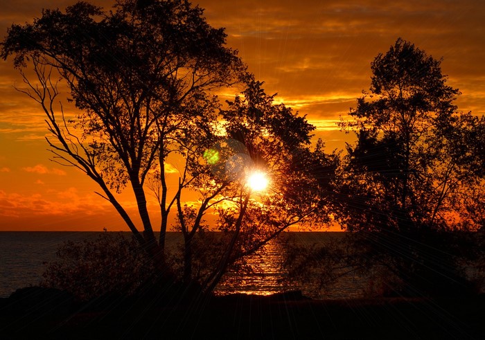 Sunset over the sea with trees in silhouette