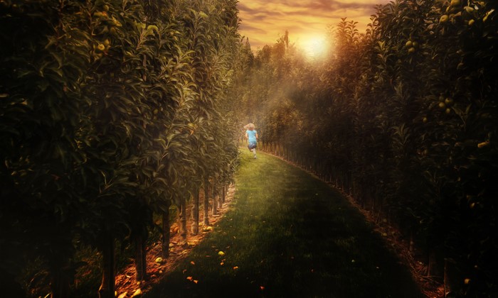 Little girl running through an apple orchard at sunset
