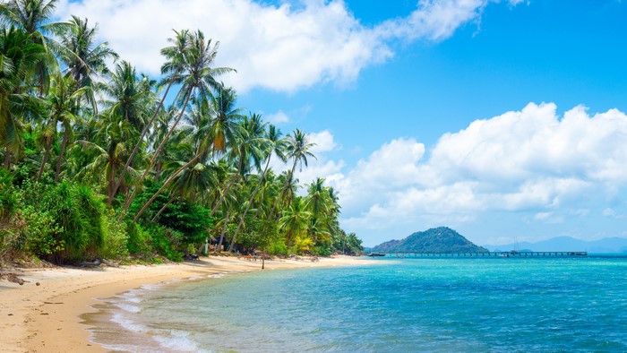 Tropical beach with palm trees and ocean