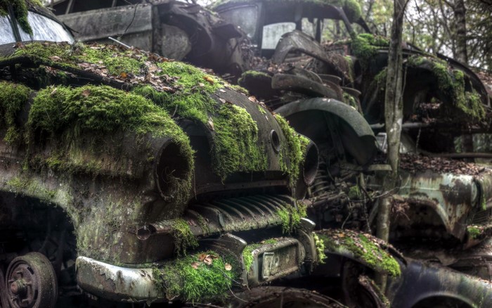 Moss covered abandoned cars in a forest