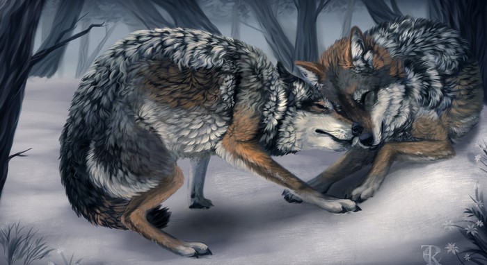Two wolves in a snowy forest