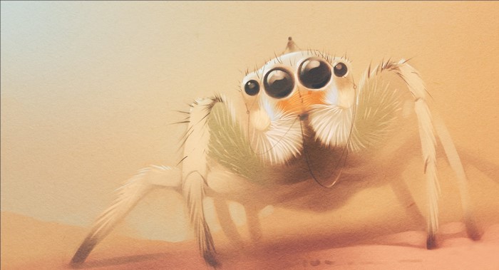 Close-Up Digital Painting of a Jumping Spider
