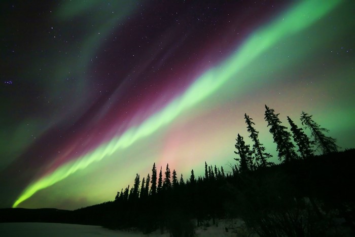 Aurora Borealis over silhouetted trees and snow
