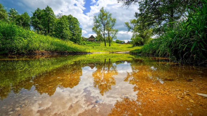 Summer pond with reflections of trees and houses