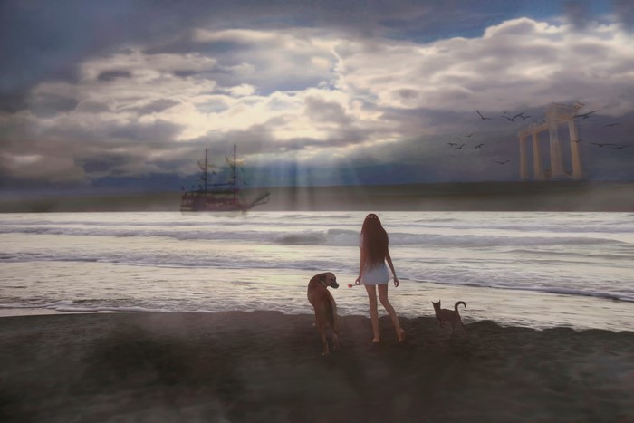 Girl with dog and cat on beach with ship and ruins
