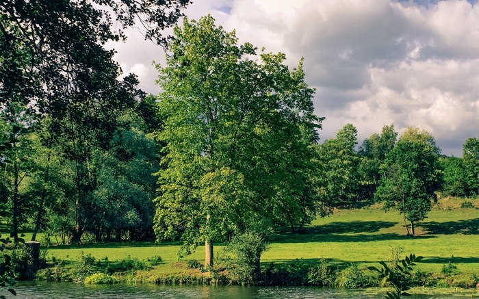 A tranquil river flows through a lush green landscape with trees and clouds.