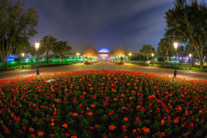 Flower bed and Spaceship Earth at night