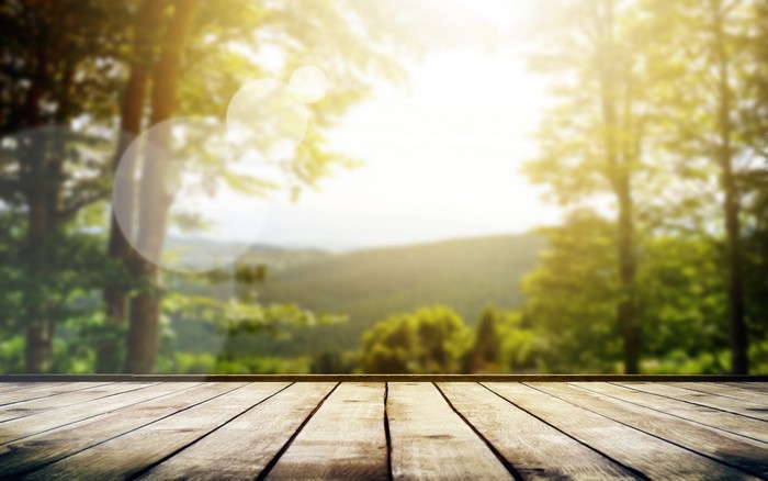 Wooden planks in a sunlit forest