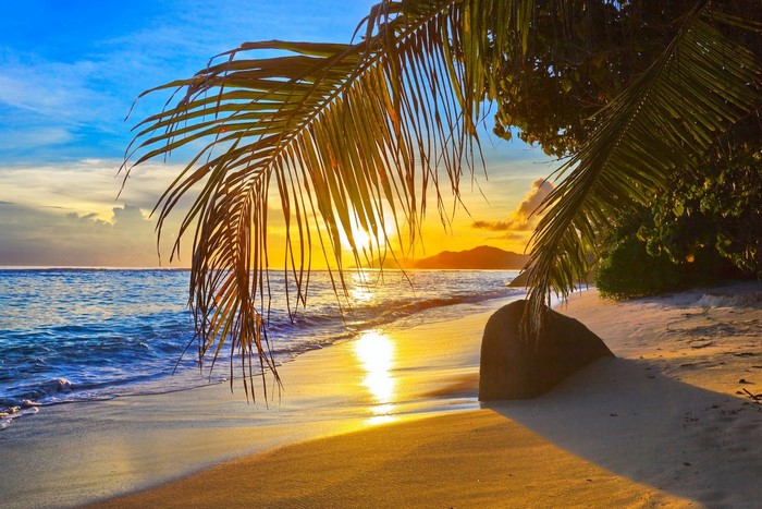 Sunset over a tropical beach with palm trees