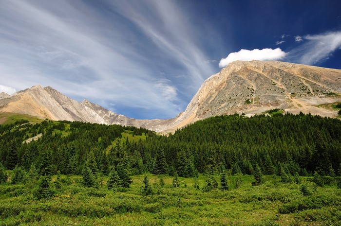 Mountains and forest in Kananaskis, Alberta, Canada