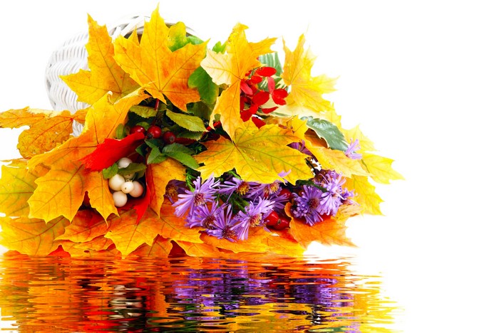 Autumn bouquet with maple leaves and berries in water reflection