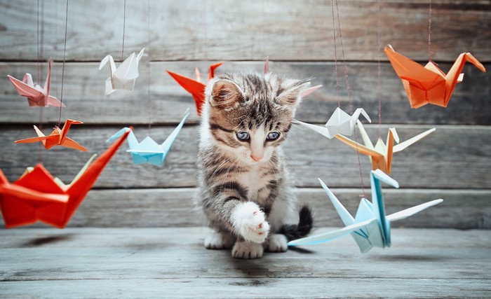 Kitten playing with origami cranes