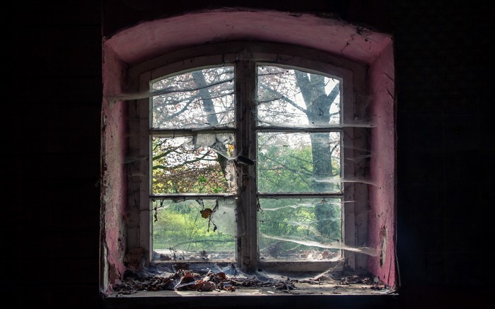 Old broken window with cobwebs and leaves