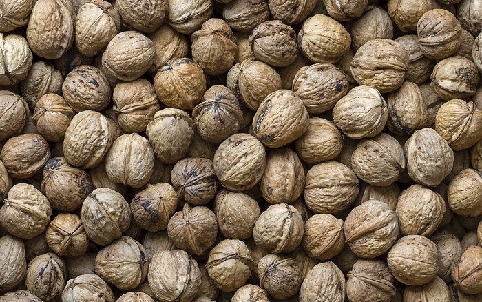 Close-up of many walnuts with textured shells