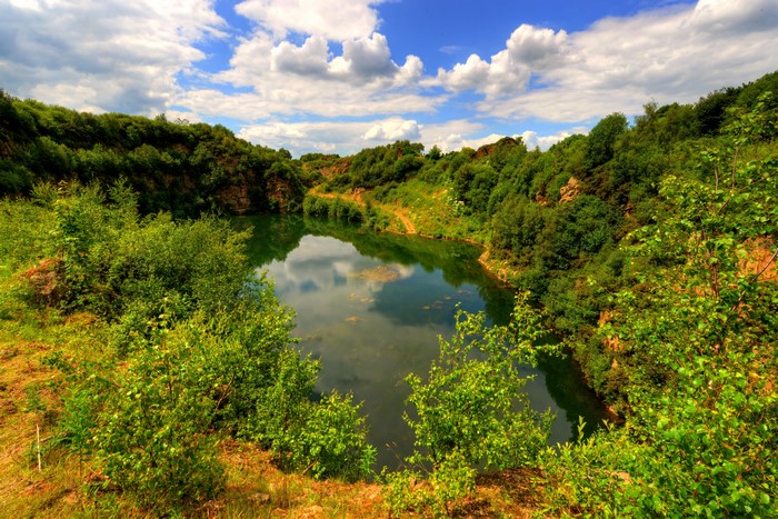 Lake surrounded by trees and shrubs in Lancashire, England